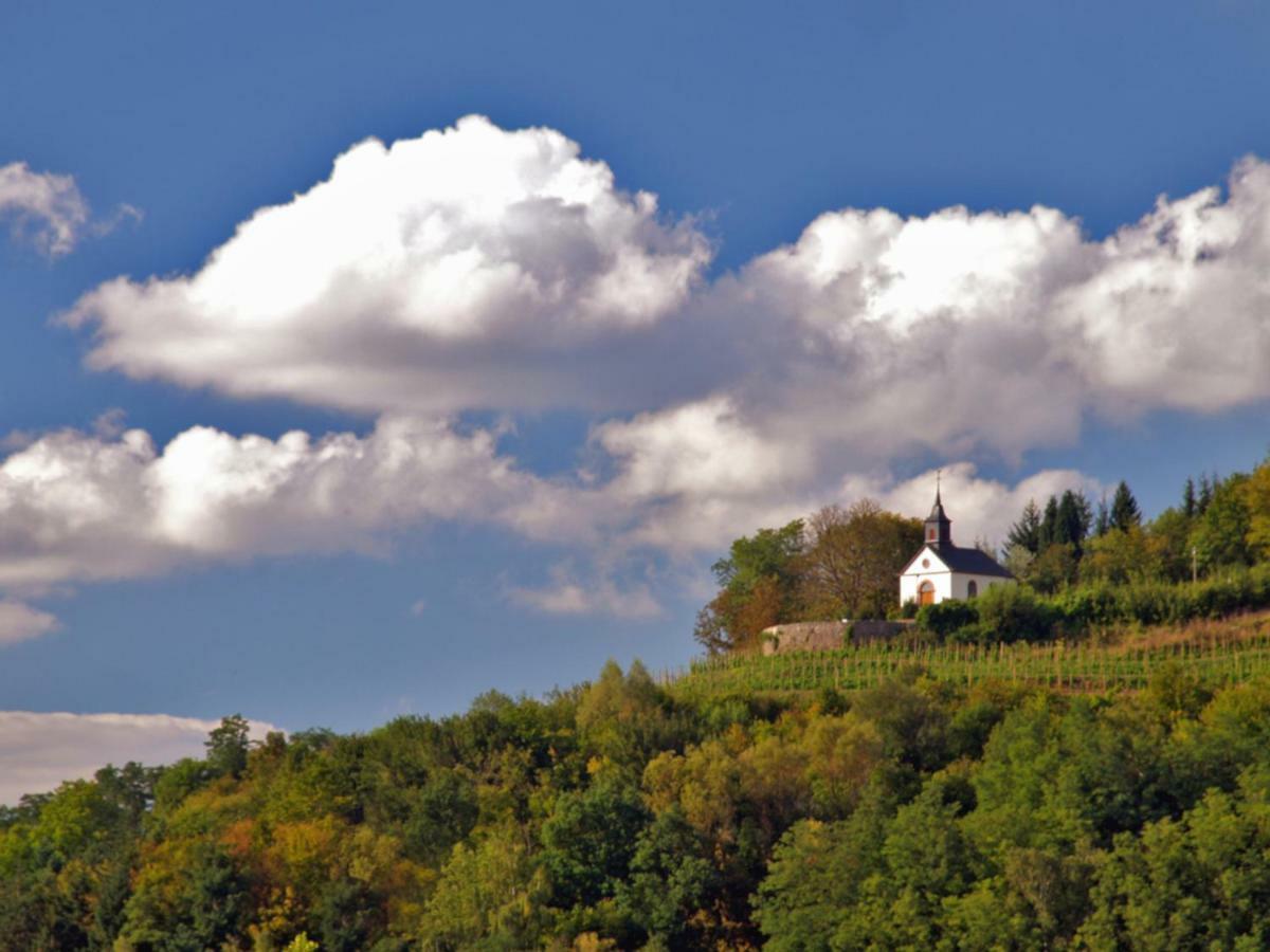 Ferienwohnung Am Gipsberg Merzig Exteriör bild